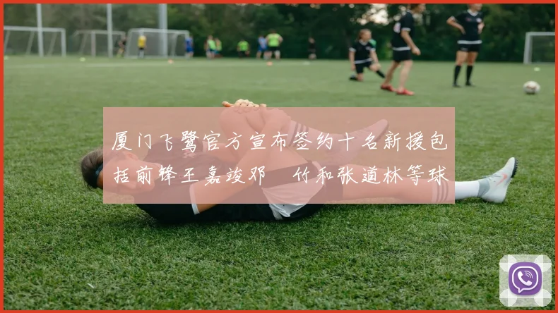 厦门飞鹭官方宣布签约十名新援包括前锋王嘉竣邓棽竹和张道林等球员