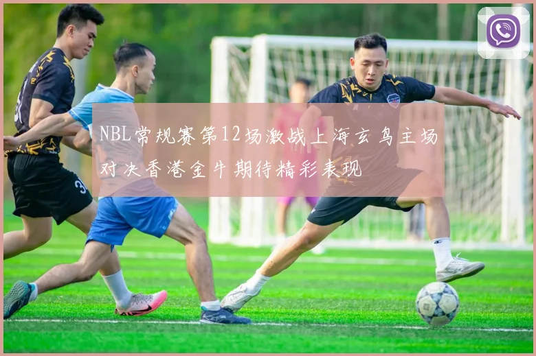 NBL常规赛第12场激战上海玄鸟主场对决香港金牛期待精彩表现